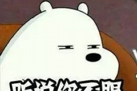 驿城融资清欠服务